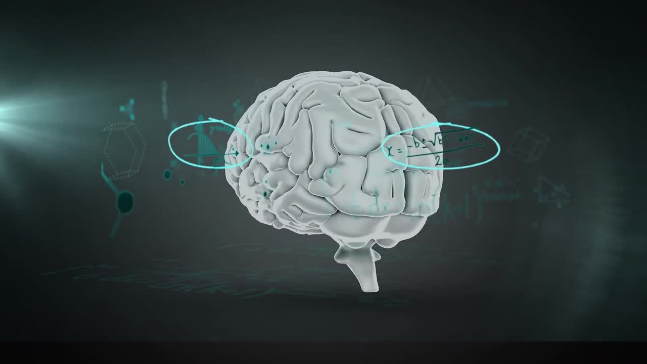 animación del giro del cerebro humano y procesamiento de datos científicos