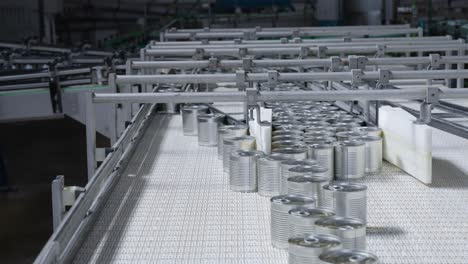 cans moving on a conveyor belt in a food production line, featuring automation, packaging, sealing, and quality control in an industrial setting