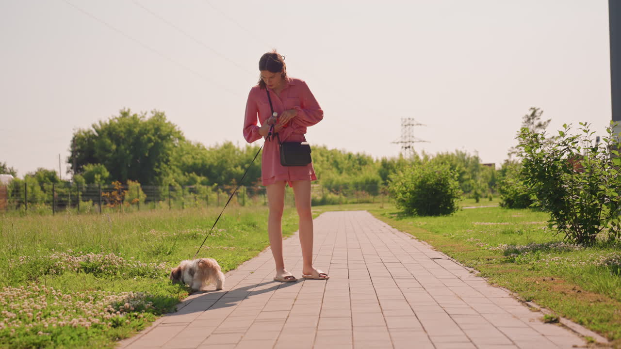 Park Pathway Woman With Small Dog. Pink Dress Owner Stands Beside Grassy Verge While Fluffy Companion Sits On Paving, Leash In Hand, Warm Sunlight And Gentle Suburban Backdrop Create Calm Affectionate