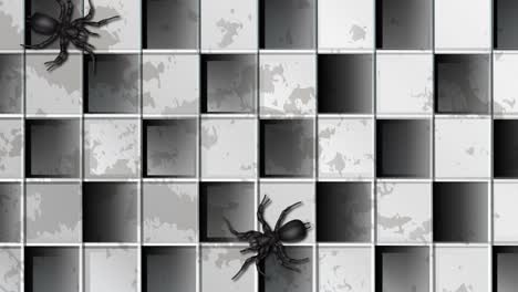 spiders moving across a checkered background