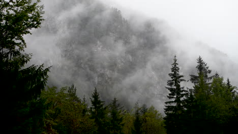 rainy day in alpine valley with low clouds, logarska dolina, slovenia, clouds and fog slowly moving behind trees, unpredictable mountain weather, danger for hikers and climbers, 4k