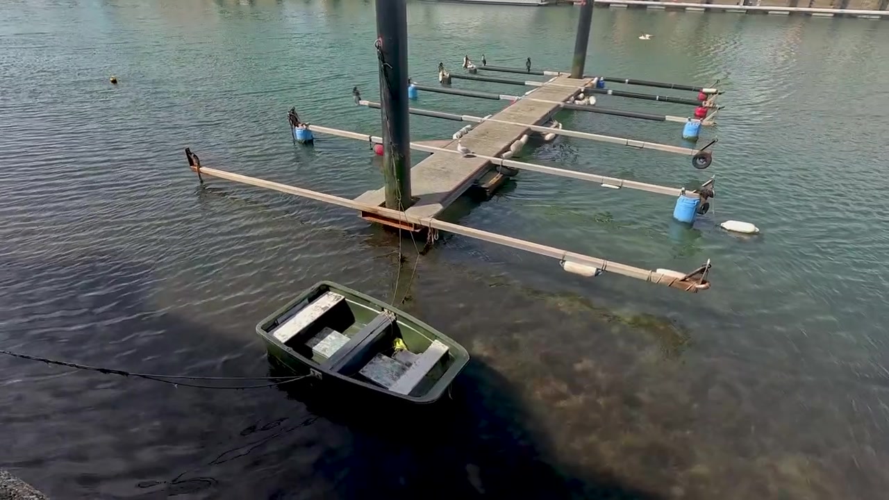 A green rowing boat floats in clear harbor water near a wooden jetty. Perfect for travel vlogs, maritime documentaries, and coastal lifestyle content.