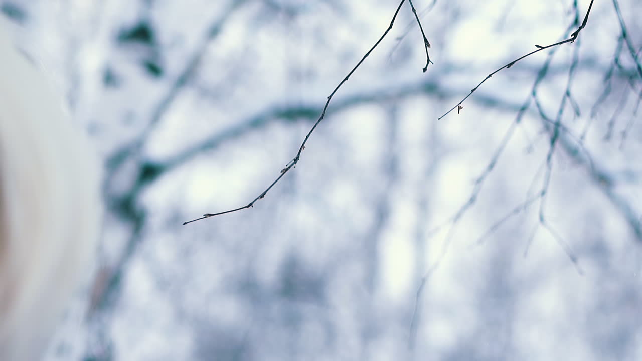 금발의 여자는 겨울 숲 극단적인 근접 촬영에서 시간을 보낸다