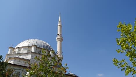 blue sky domes and minarets, mosques in turkey, trees and minaret of a mosque.