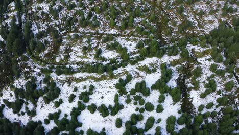 Winter-Wonderland:-Aerial-Top-Down-View-of-Snow-Covered-Forest-in-The-Wicklow-Mountains