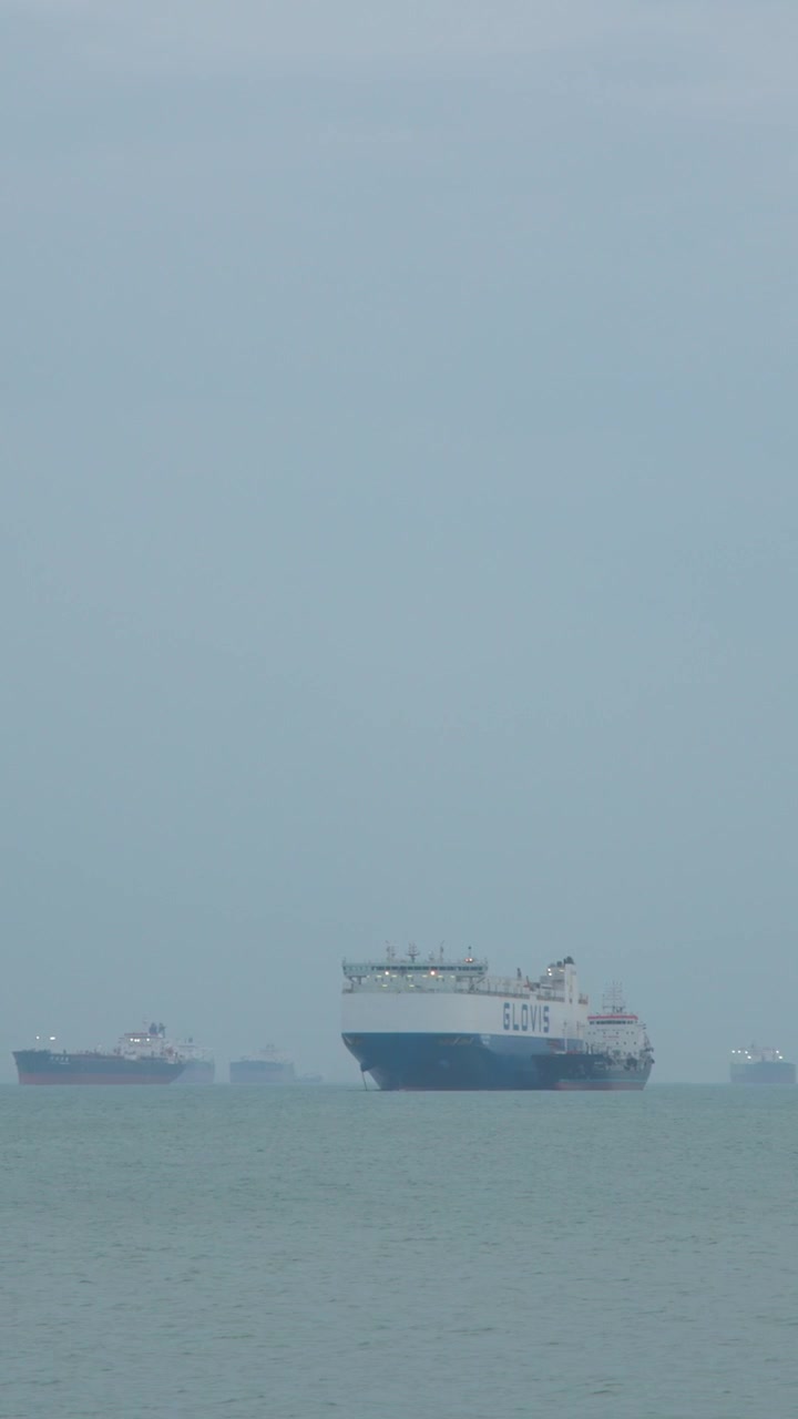 A wide panning shot captures multiple commercial vessels anchored in calm waters under overcast skies
