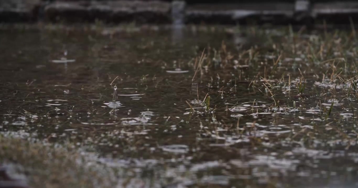 Rain falling down on grassy puddle