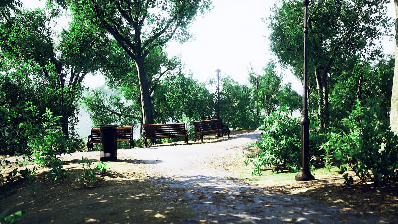 Peaceful park path with benches surrounded by lush greenery on a sunny day