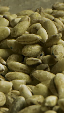 closeup of barley grains