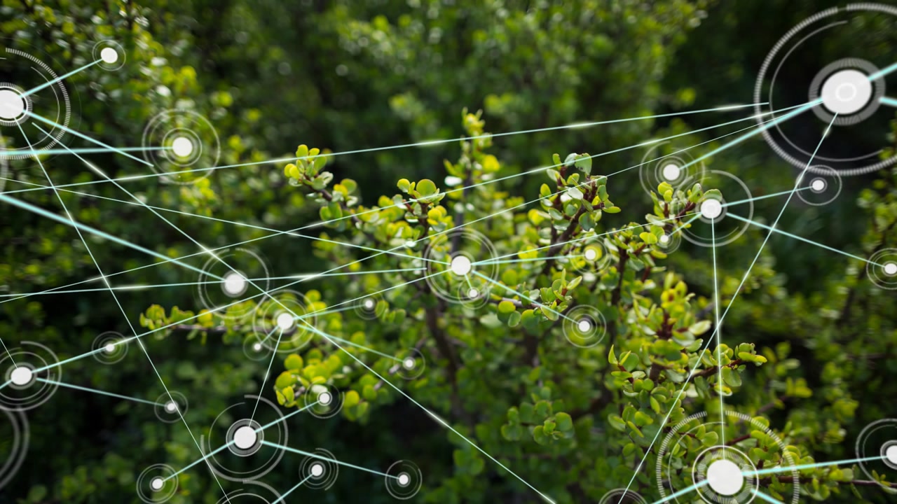 Glowing node fading in on shrub sending neon lines and rings forming network showing connectivity