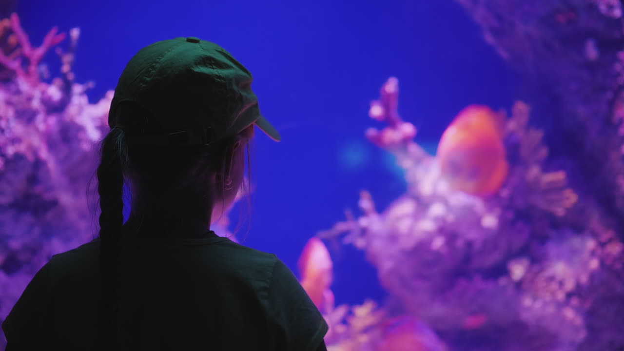 Silhouette di una bambina che guarda un enorme acquario con pesci di mare. Concetto di ispirazione e impressioni.