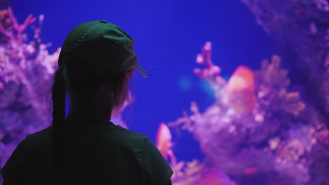 silueta de una niña mirando un enorme acuario con inspiración e impresiones de peces marinos c
