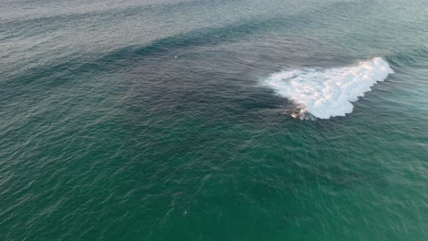Drone-Aerial-View,-Surfer-Surfing-on-Waves,-Smiths-Beach,-Margaret-River-Region,-Australia
