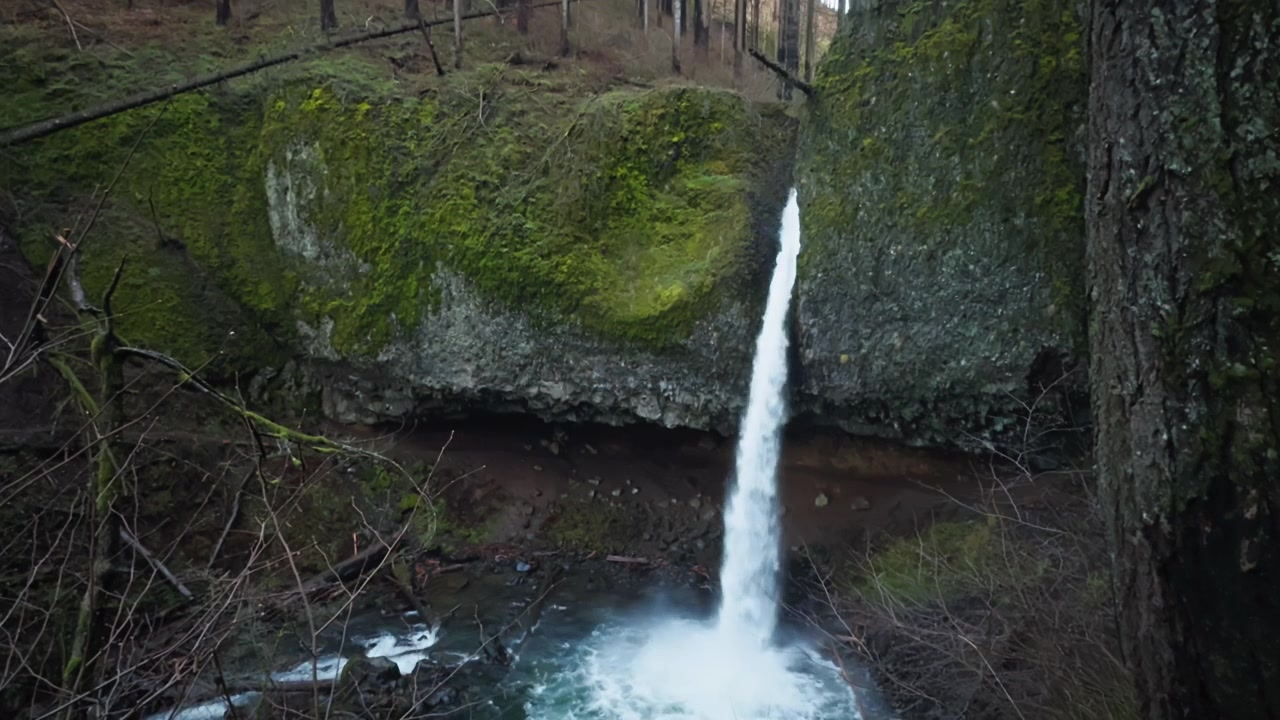 Ponytail Falls che scende da una parete basaltica ricoperta di muschio in una pozza, ampia veduta.