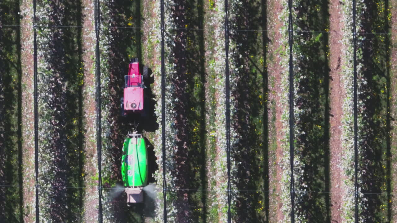 Aerial View of Tractor Spraying Roses in a Vineyard