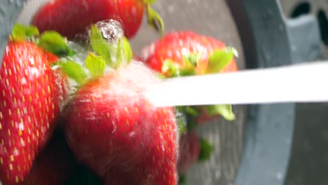 washing strawberries in a colander
