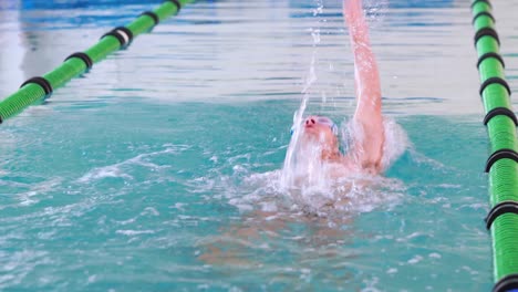 fit swimmer doing the back stroke in the swimming pool