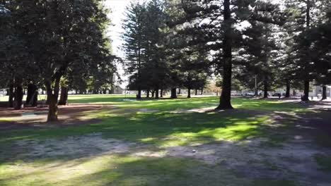 aerial view drone flying sideways through esplanade park in fremantle, western australia