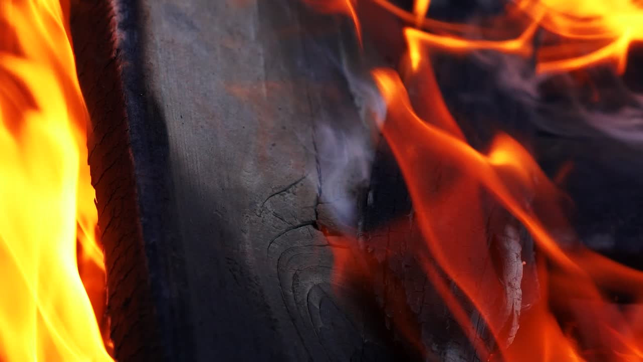 Closeup of flames burning on black background, slow motion. Flames of the fire. Camp fire.