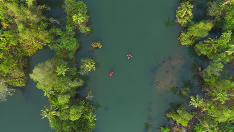 Disparo-De-Drone-Vista-De-ángulo-Superior-Video-Panorámico-De-árboles-De-Granja-De-Cocos-Zona-Costera-Costa-País-Tropical-India-Kerala-Paisaje-Natural-Laguna-De-Remansos