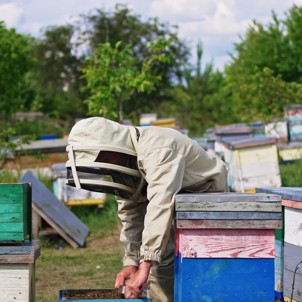 Male apiarist wearing protective uniform and hat working in the bee farm. Man checking the honey harvest at his apiary