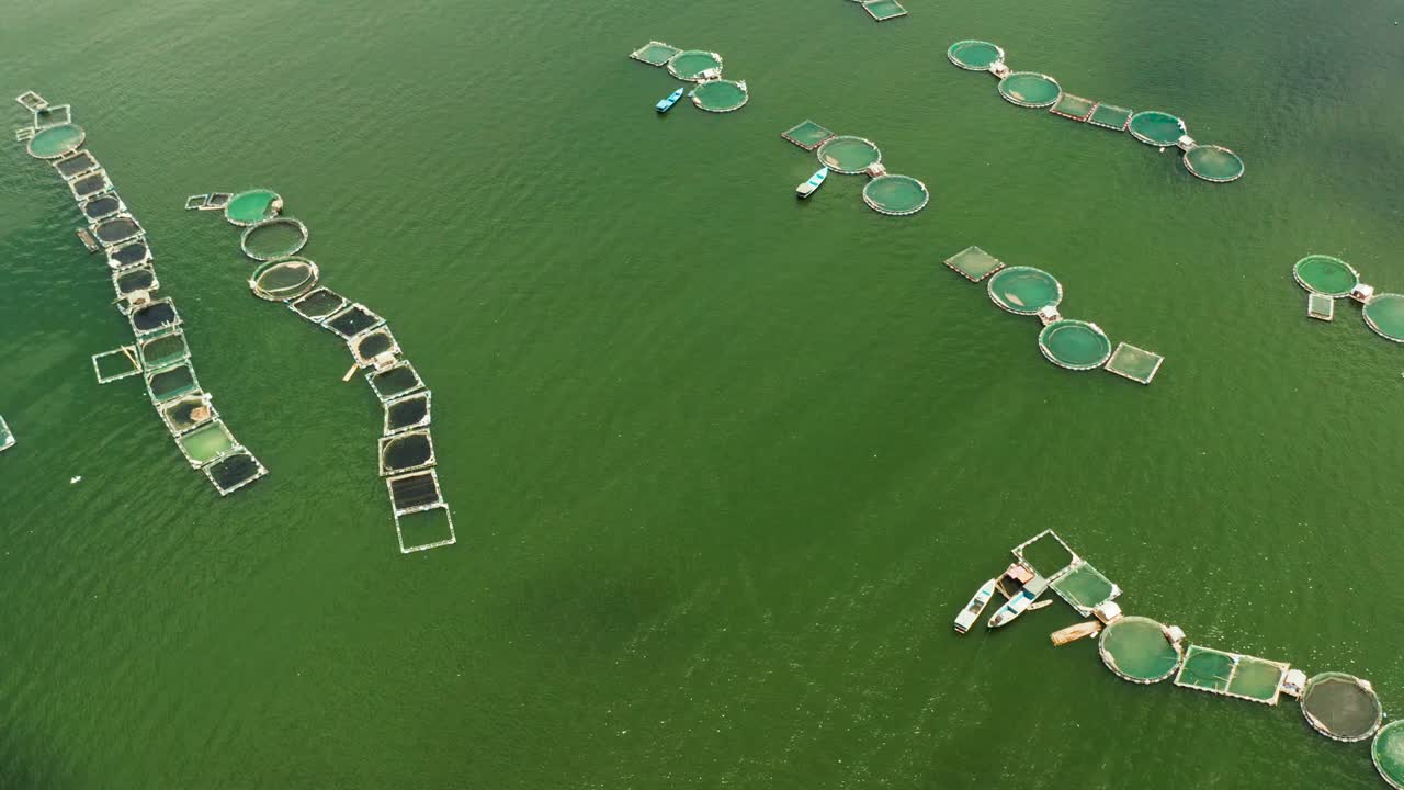 필리핀 타알 호수 (taal lake) 에 있는 시 농장 (fish farm with fish cages, top view)