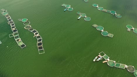 fish farm on the lake taal, philippines. fish farm with fish cages, top view