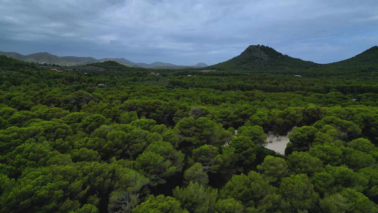 The scene showcases heavy surf, the contrast between the lush green pine forest, rugged coves, and the tourist resort development under a dramatic, cloudy sky