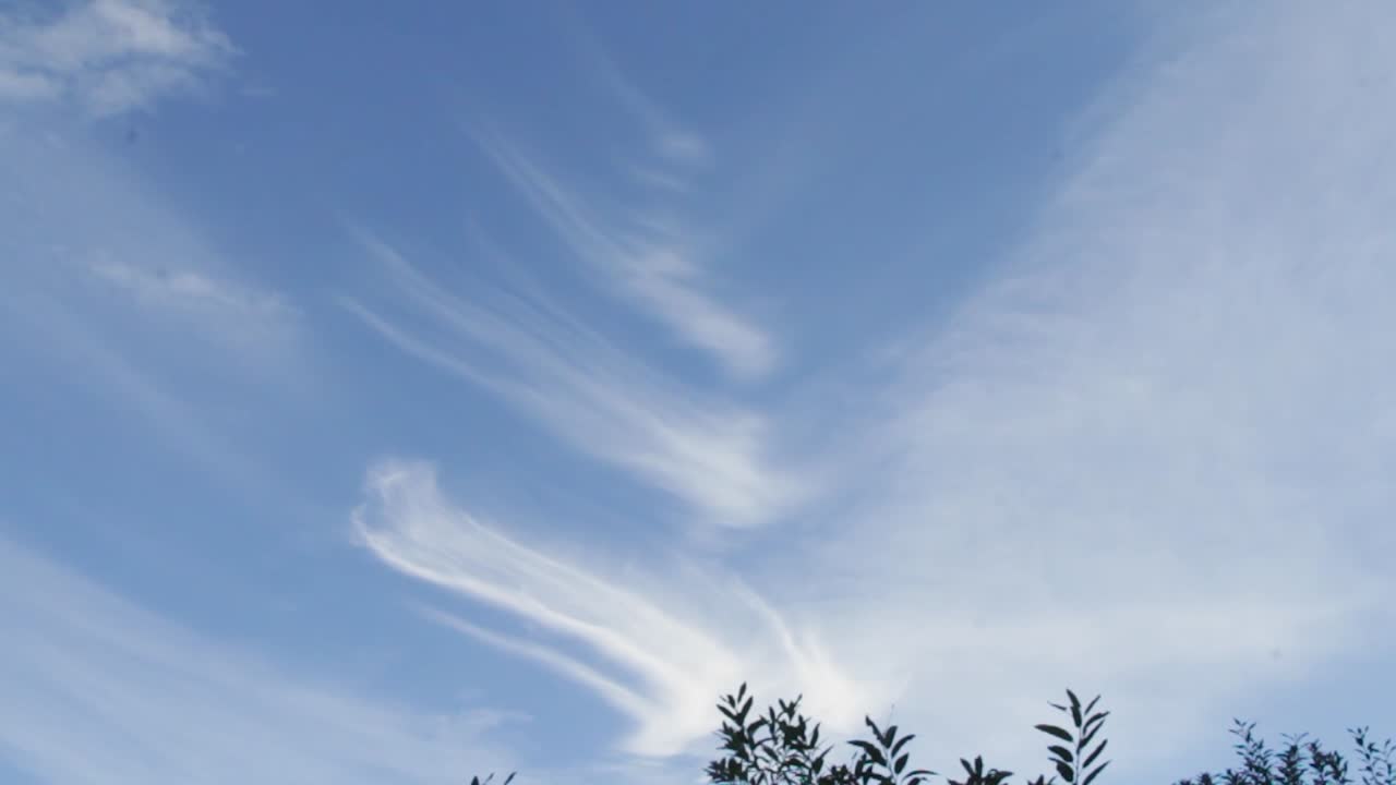 아름답고 고요한 날에 푸른 하늘을 배경으로 부드럽고 푹신한 권운을 날리는 바람