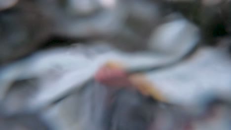 First-person-view-of-extreme-whitewater-kayaker-descending-class-IV+-Takilma-Gorge-on-the-upper-Rogue-River-in-Southern-Oregon