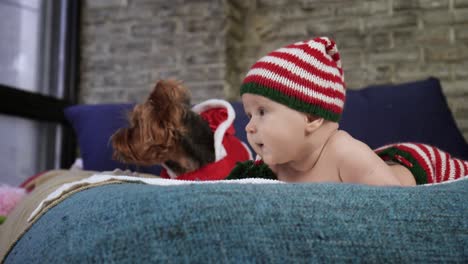 dulce bebé vestido con gorra a rayas está tendido en la cama en el estómago con el perro delante de la ventana