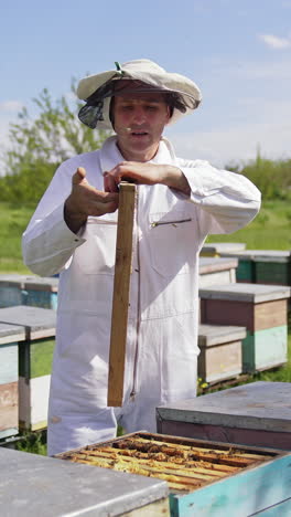 beekeeper working in hive on nature. beekeeper holding and inspecting the honeycombs on the wooden frame with bees
