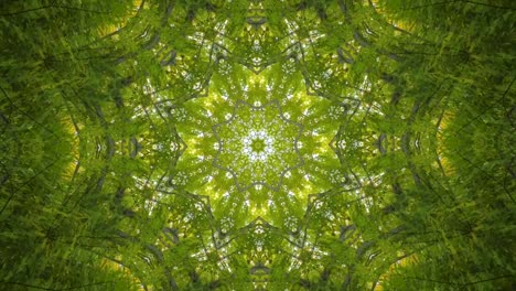 Kaleidoscope-geometric-animated-pattern-abstract-nature