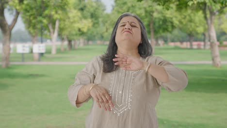 Frustrated-Indian-old-woman-flying-a-mosquito-in-park