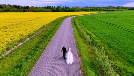 a couple in wedding attire walks hand in hand down a rural brick road lined with yellow blooms and green fields, passing a parked black car under a wide spring sky