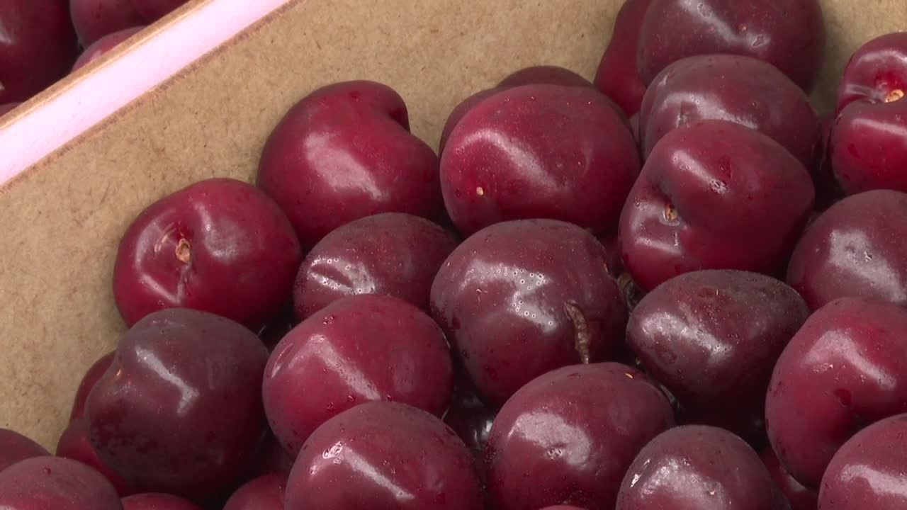 Fresh Cherries in a Box