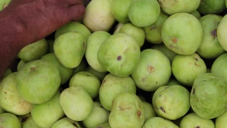 fresh-organic-green-vegetable-from-farm-close-up-from-different-angle