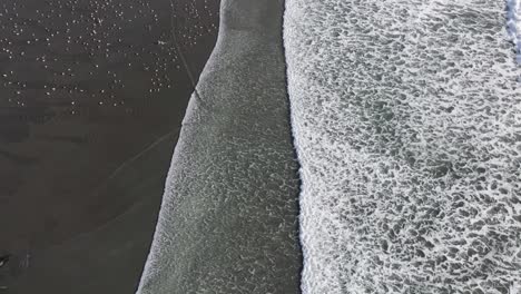 4K-Drohnenaufnahmen-Von-Möwen-Und-Wellen-Am-Strand-Der-Küste-Von-Oregon-In-Der-Nähe-Von-Brookings