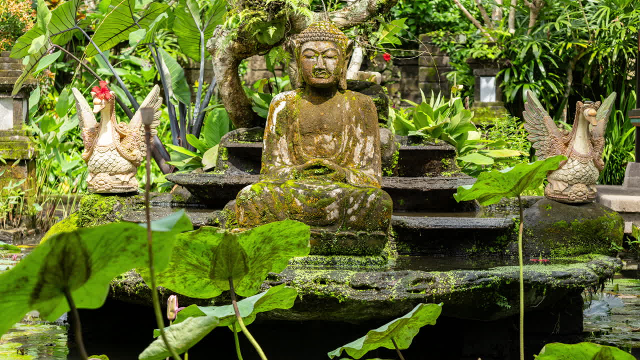 timelpase of a peaceful lotus pond in bali with buddha statue