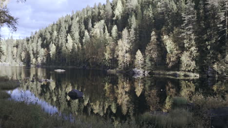 Pan-view-of-a-calm-river,-surrounded-by-colorful-autumn-forest,-at-a-sunny-fall-evening,-in-Finland