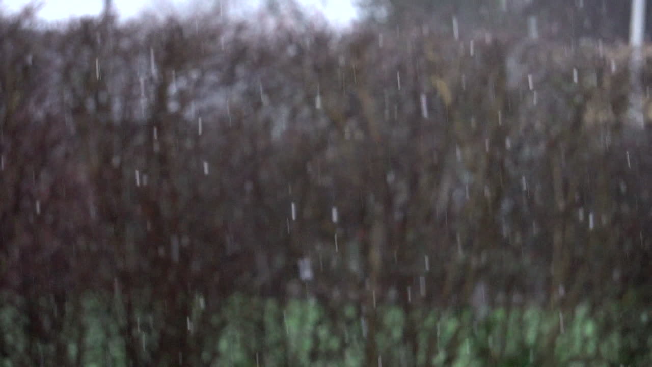 Snow falling in front of nature background. In slowmotion.