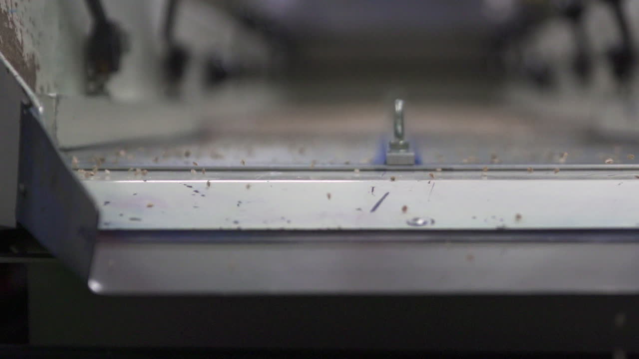 Seed Divider in Shaking Slow Motion to Divide Smallest Seeds from Larger Ones, Front View