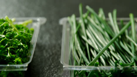 various type of herbs in plastic tray 4k