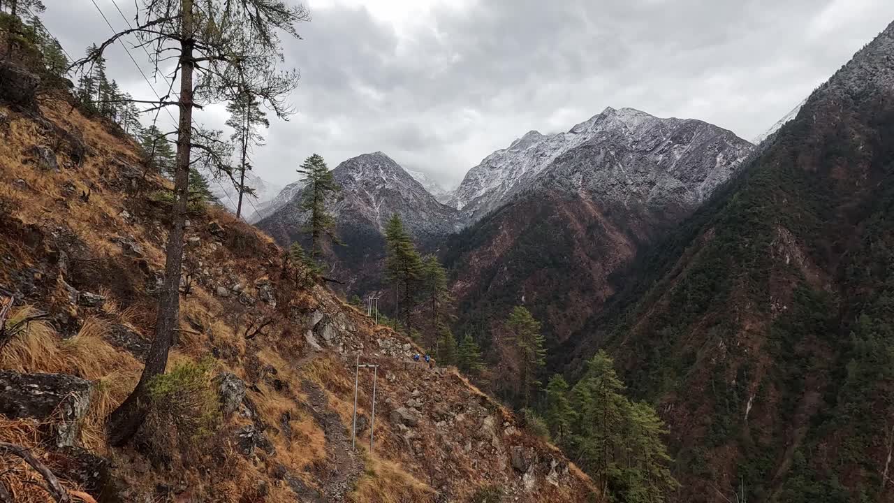 vistas impresionantes: caminata por el valle inferior de langtang con ratas forestales y laderas de montañas nevadas en nepal