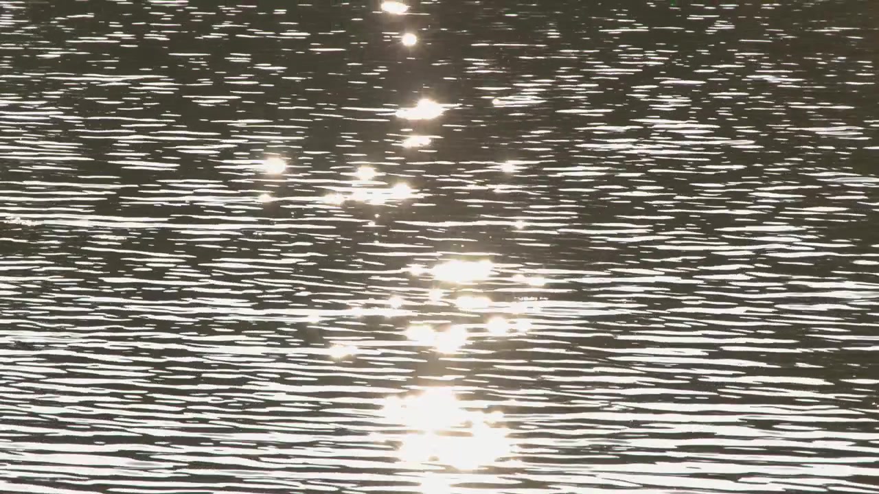 La lumière vive du soleil scintille sur la surface ondulante d'un étang avec des reflets dorés à Tokyo, Japon