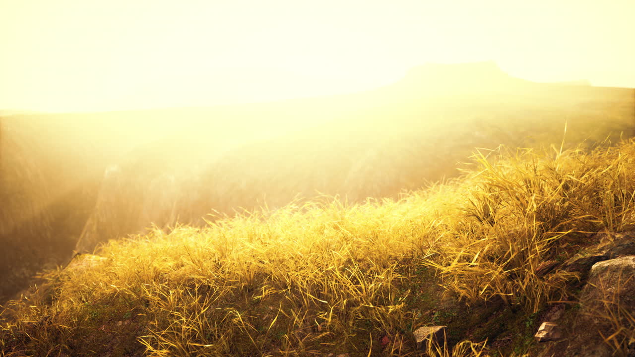 황금의 바위와 산의 풀