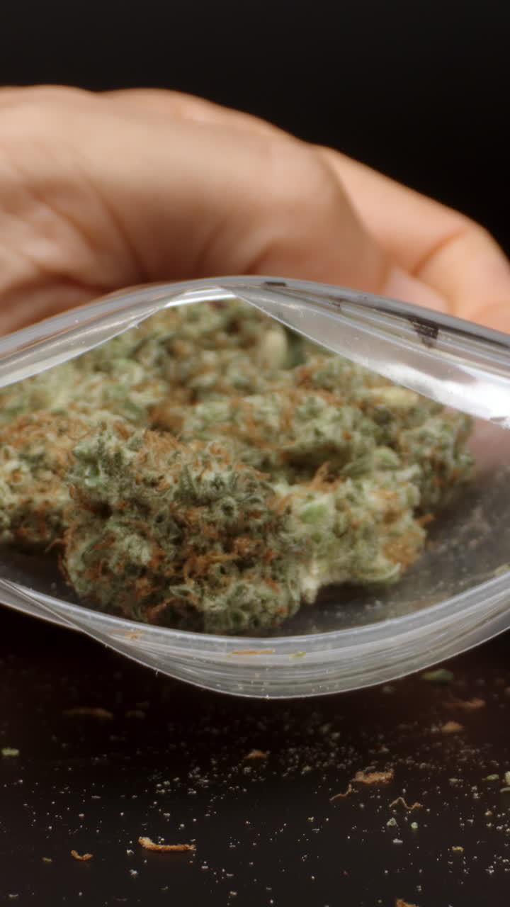 대마초 이 수직으로 가게