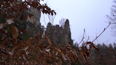 Hojas-Nevadas-Con-Pilares-De-Roca-Arenisca-En-El-Fondo,-Rocas-Prachov,-Paraíso-Bohemio-En-Invierno,-Camión-A-La-Derecha