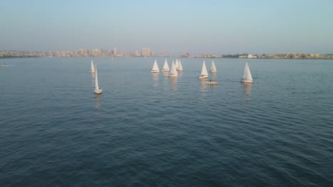 group of sailboats on san diego bay overlooking the city skyline