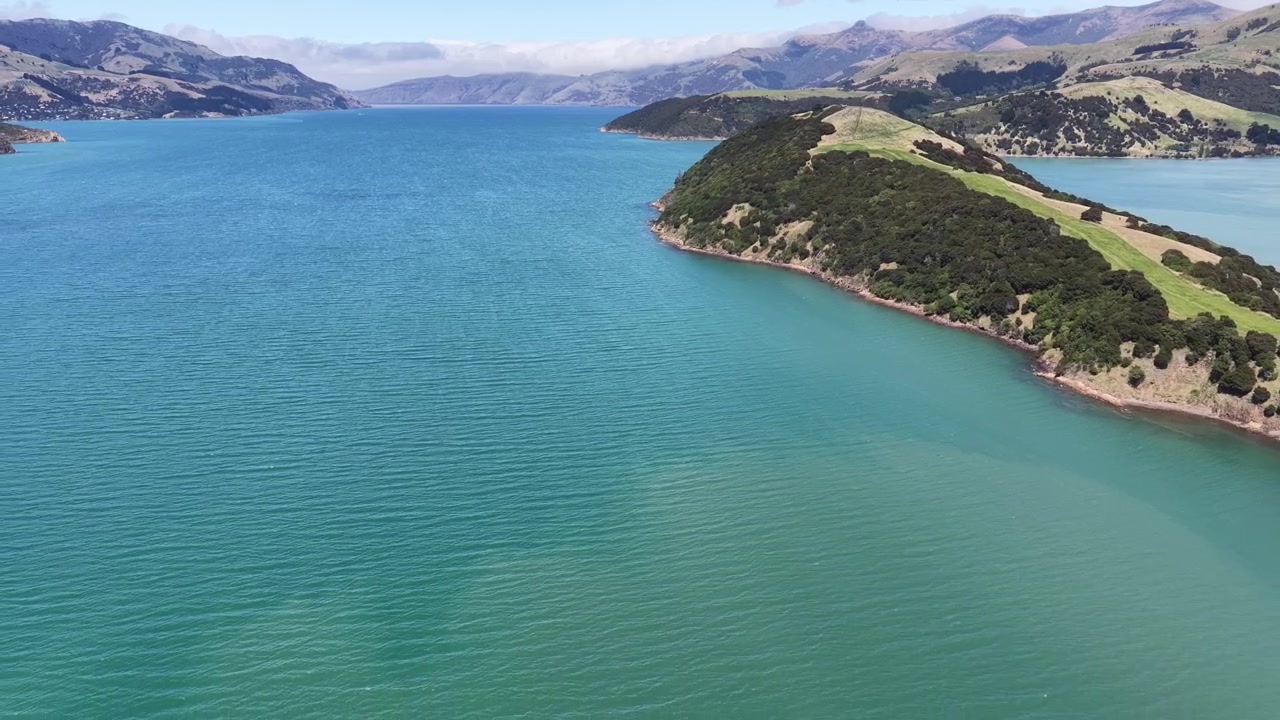 Luftpanorama einer bewaldeten Halbinsel, umgeben von leuchtend blauem Wasser auf der Südinsel Neuseelands, das die zerklüftete Küstenlinie und die Schönheit der Küste hervorhebt.